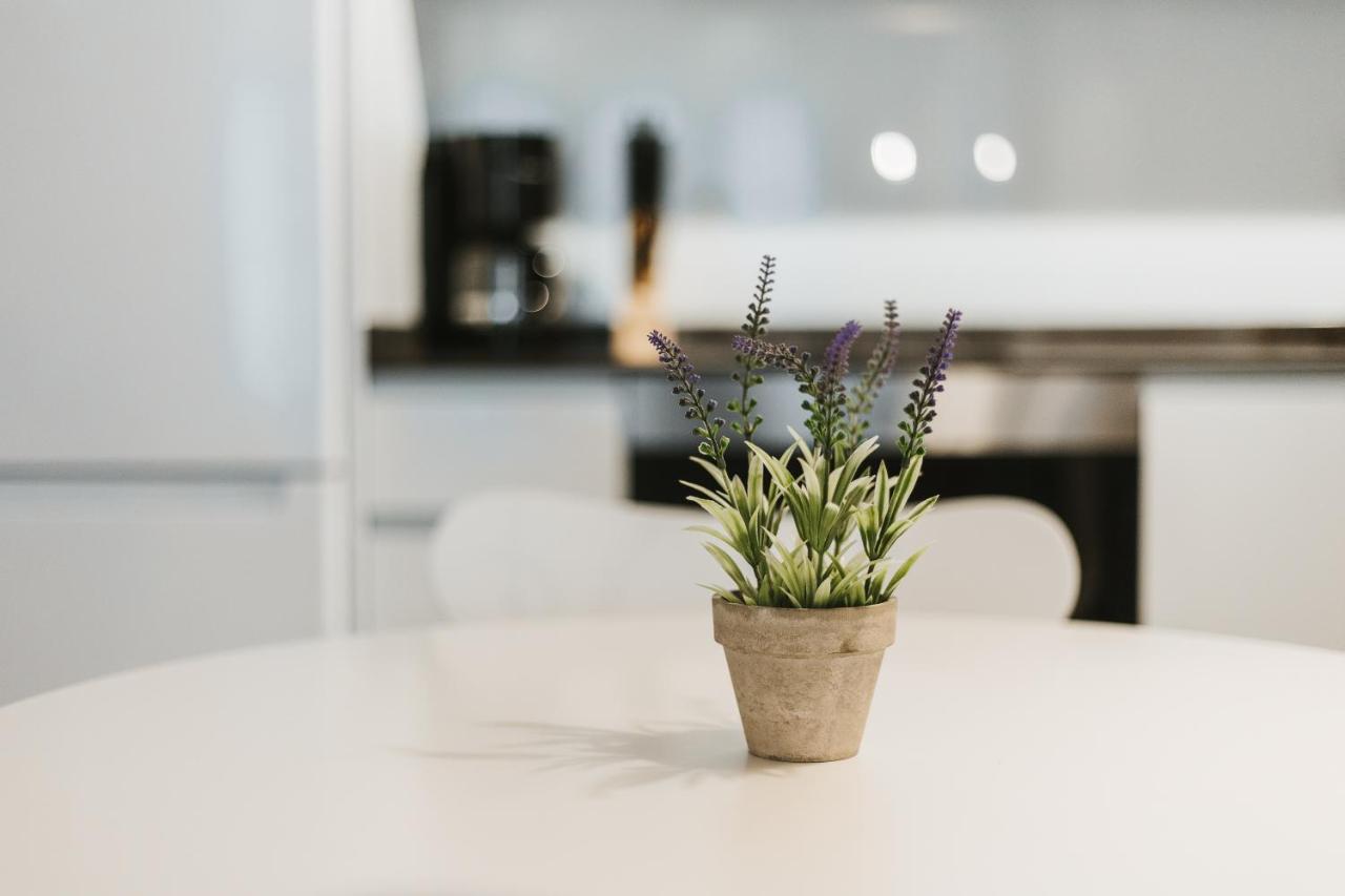 Apartamentos Mk77 Leon- Cantareros Eksteriør billede