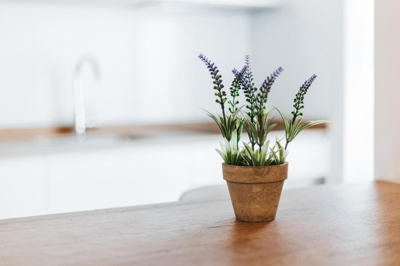 Apartamentos Mk77 Leon- Cantareros Eksteriør billede